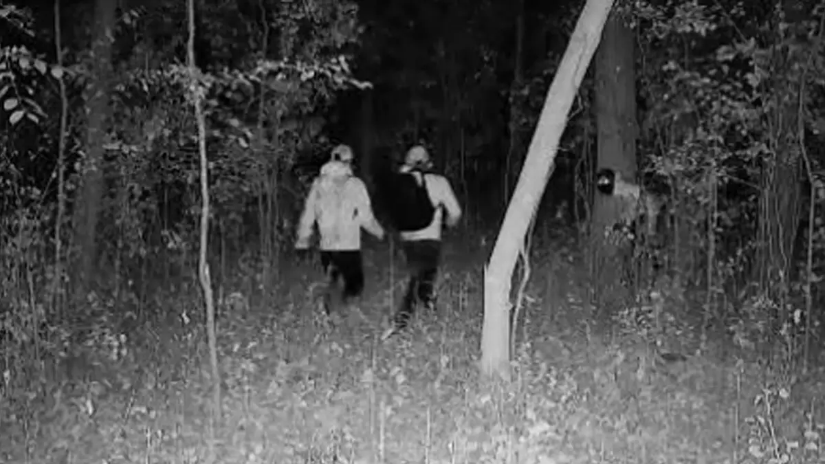 Полиция предупреждает, что маскированные воры из южноамериканской преступной группировки обчищают американские дома по отработанной схеме.