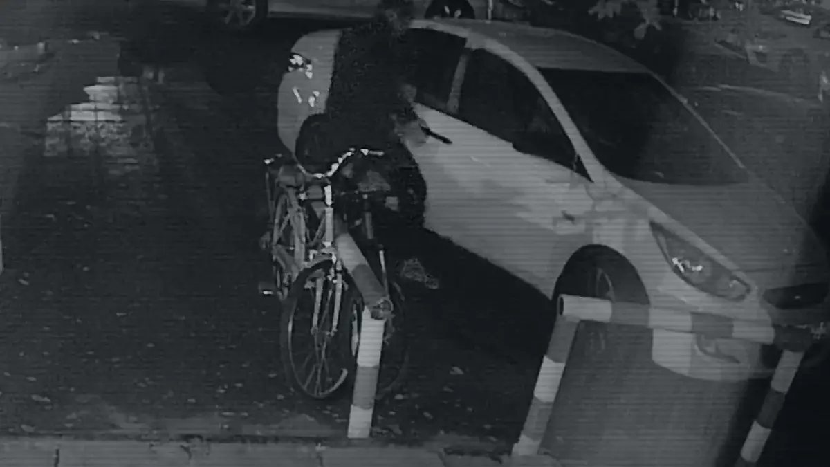 Тұншықтырып өлтіріп, ізін жоюға тырысқан: Яна Легкодимованың өліміне қатысты жаңа деректер жарияланды