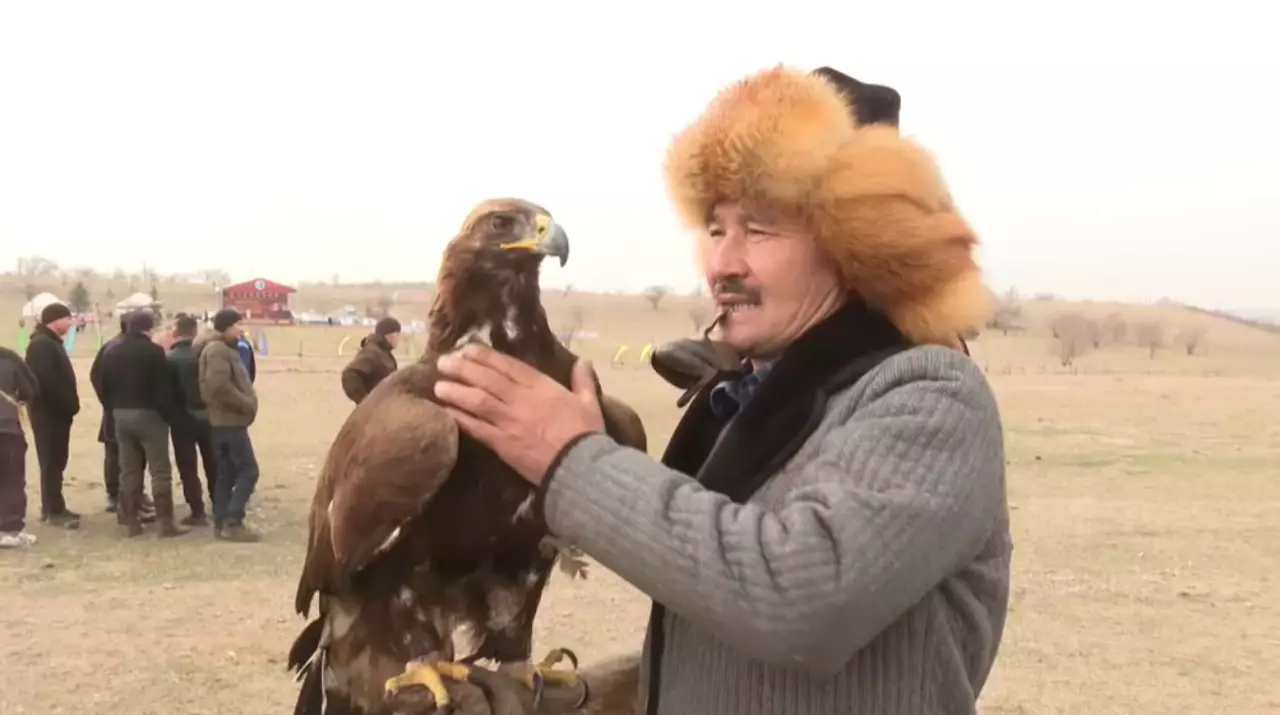 Алматы облысында дәстүрлі «Сонар–2025» халықаралық құсбегілер турнирі өтті