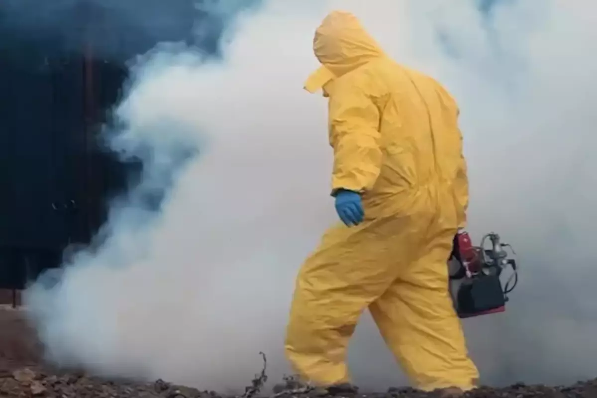 Грызуны под контролем: в сёлах Бейбарыс и Талдыколь идёт масштабная дератизация