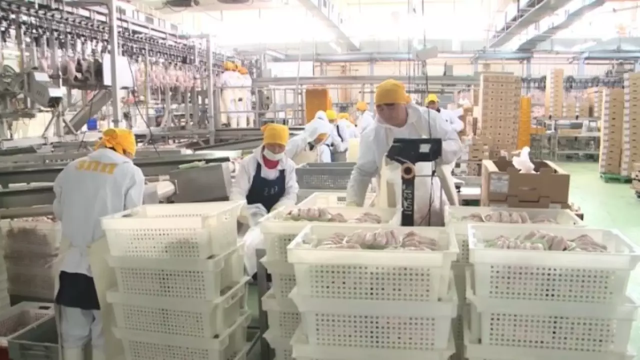 Казахстан продолжает усиливать позиции несырьевого экспорта