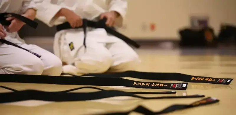 Египет впервые за 37 лет будет принимать Чемпионат мира по карате.