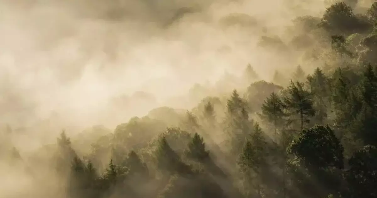  25 қарашада ауа райына байланысты ескерту жасалды 