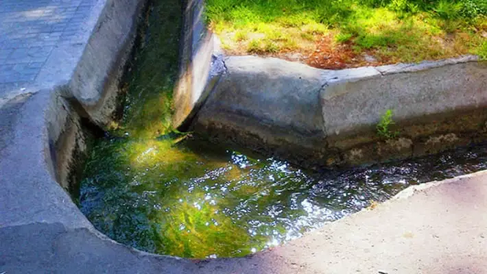 В Ташкенте начнут восстановление арычной системы для улучшения экологии