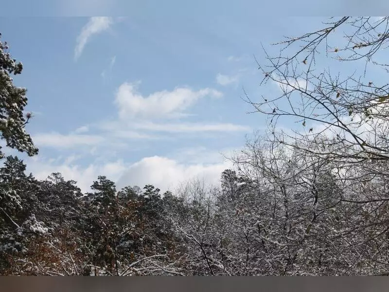 Аномально теплая погода в Забайкальском крае вызвана теплым воздухом из Казахстана.