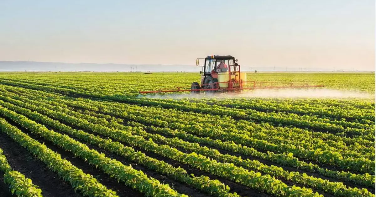   Агроөнеркәсіпке ашылған жаңа мүмкіндік   