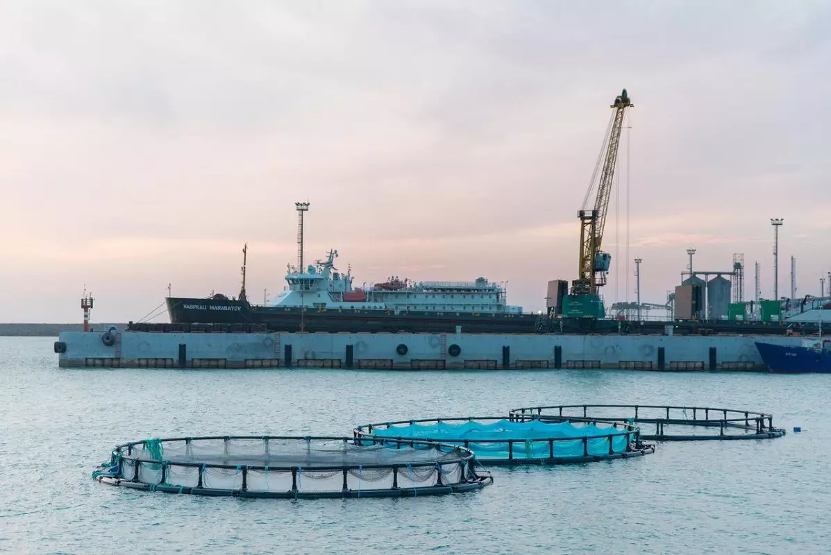 В Каспийское море выпущены две тонны мальков лососевых пород
