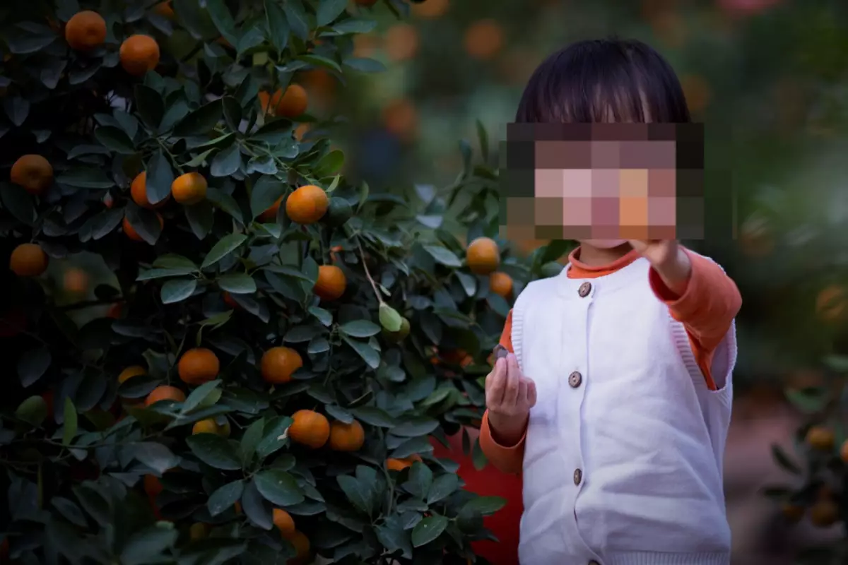 Деньги на "лечение" умершего ребенка собирали в Алматинской области