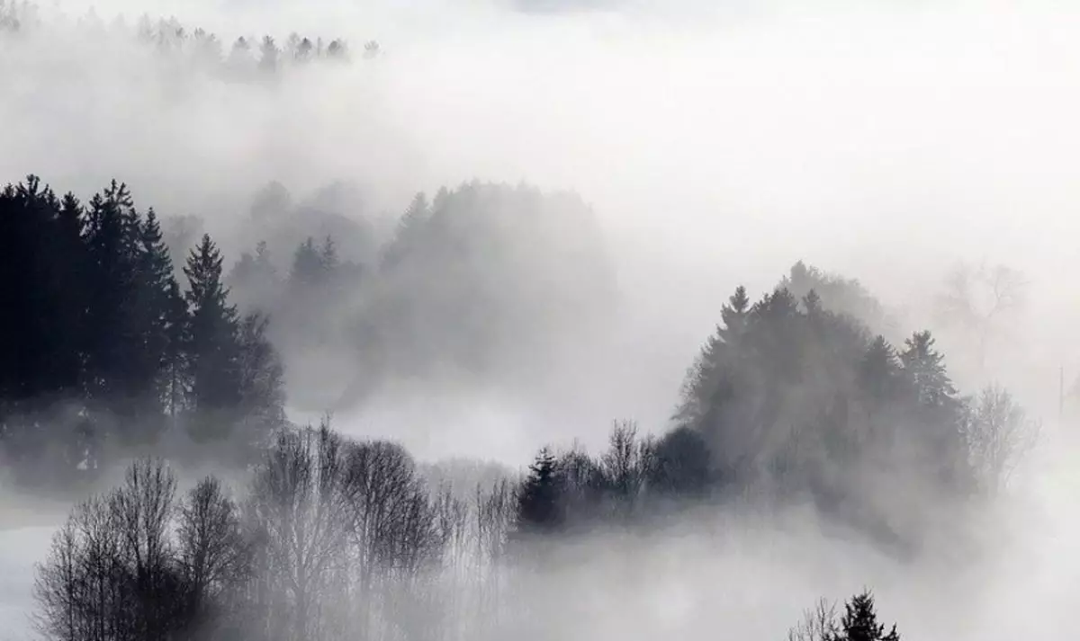 «Қар, көктайғақ, тұман»: 14 өңірде дауылды ескерту жарияланды