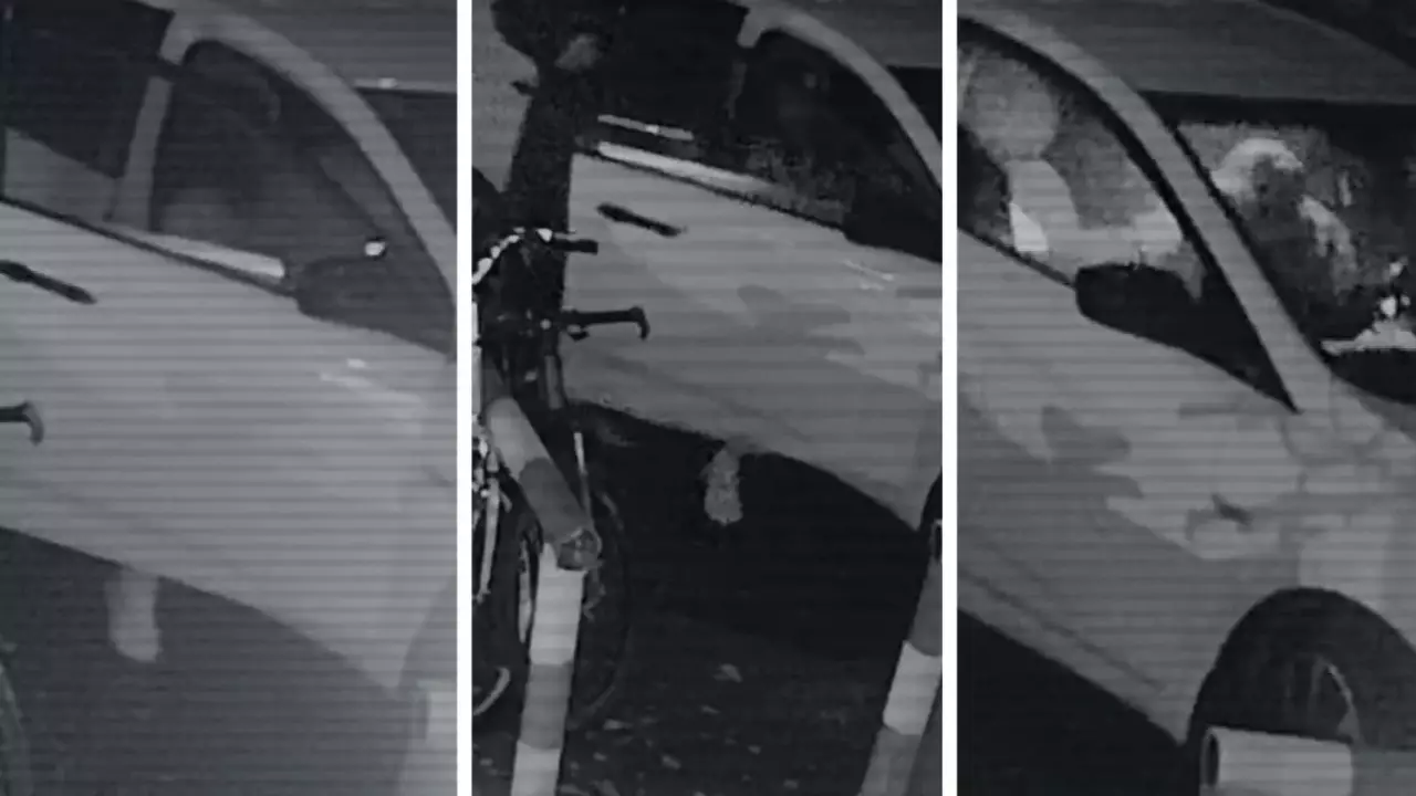 Интернеттен &#171;Қазақстанда адам өлтіргенге қандай жаза бар?&#187; деп іздеген: Полиция Янаның өлімін қалай ашты?