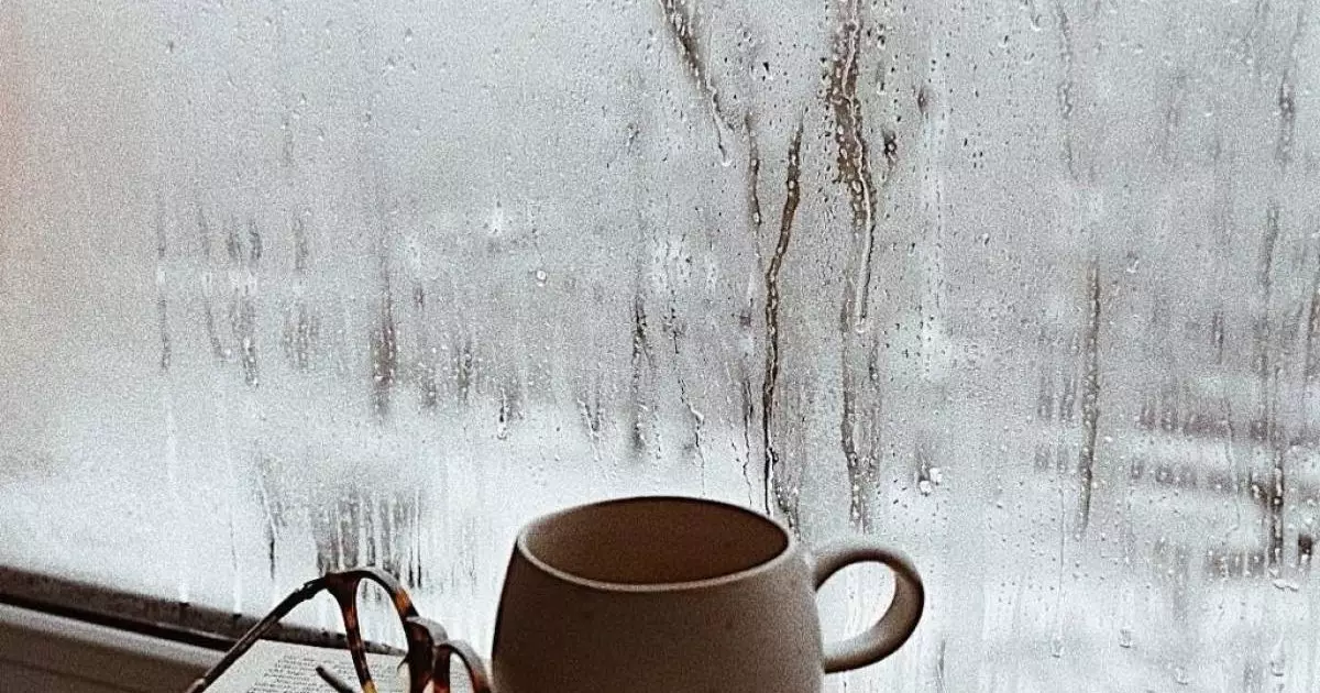  Ноябрь-2025 удивил теплом: в Казахстане снова выше 0 °C 