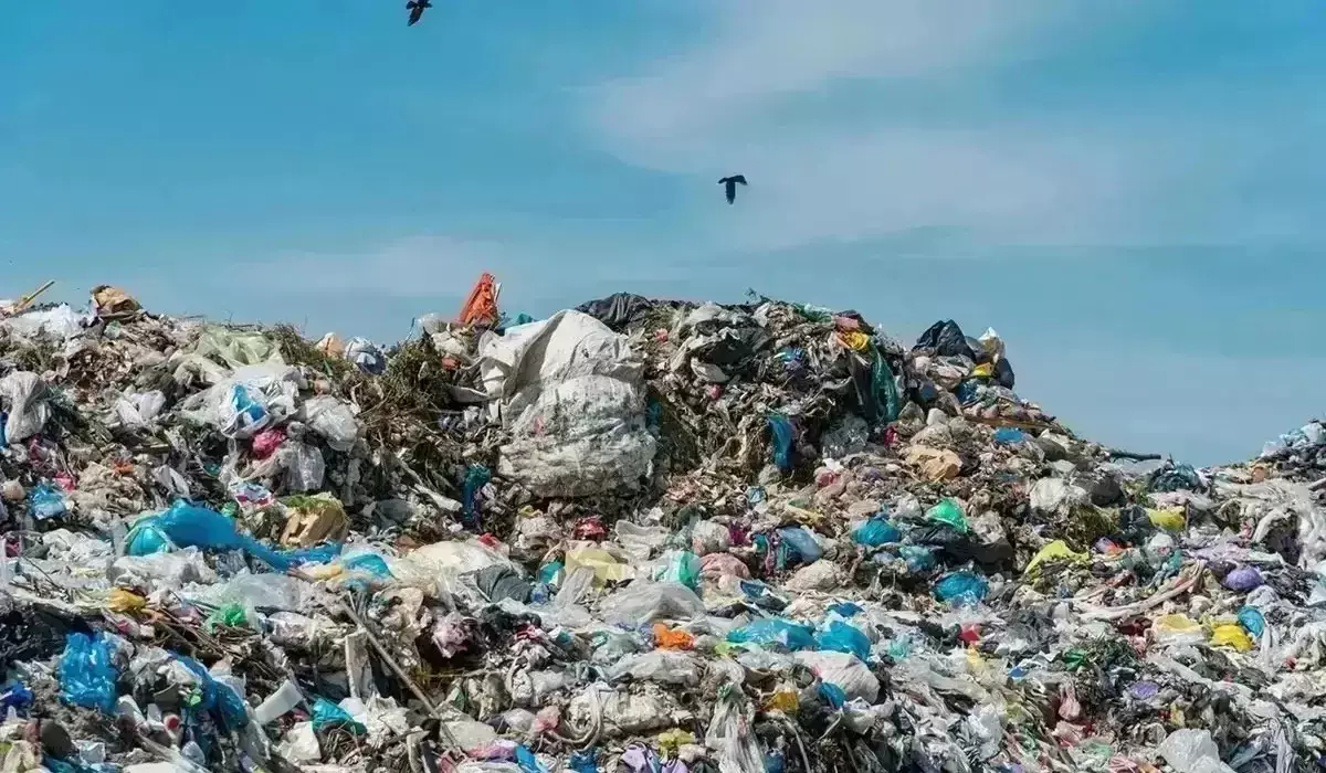 Қазақстанның үш ірі мегаполисінде қоқыс өртейтін зауыт салынады