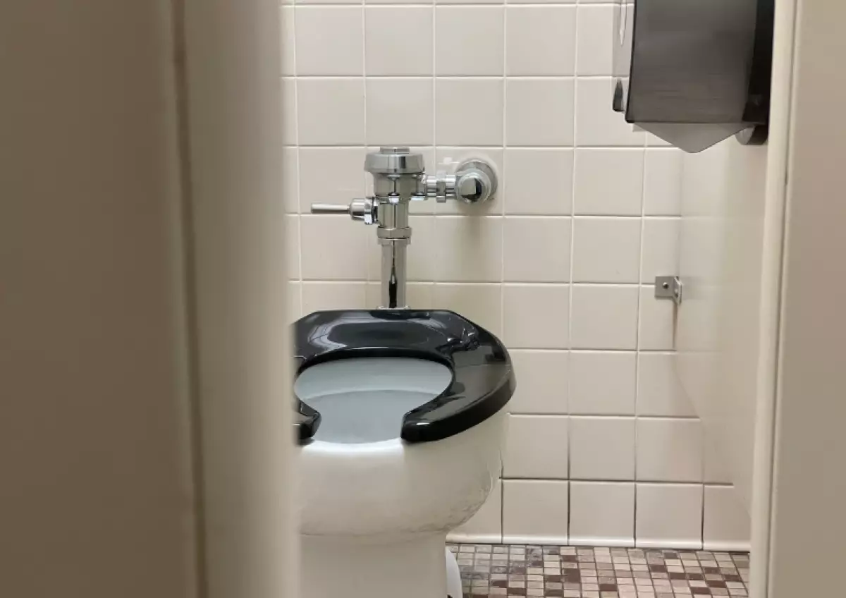 Прозрачный туалет за 1 тенге обсуждают в Астане (ВИДЕО)