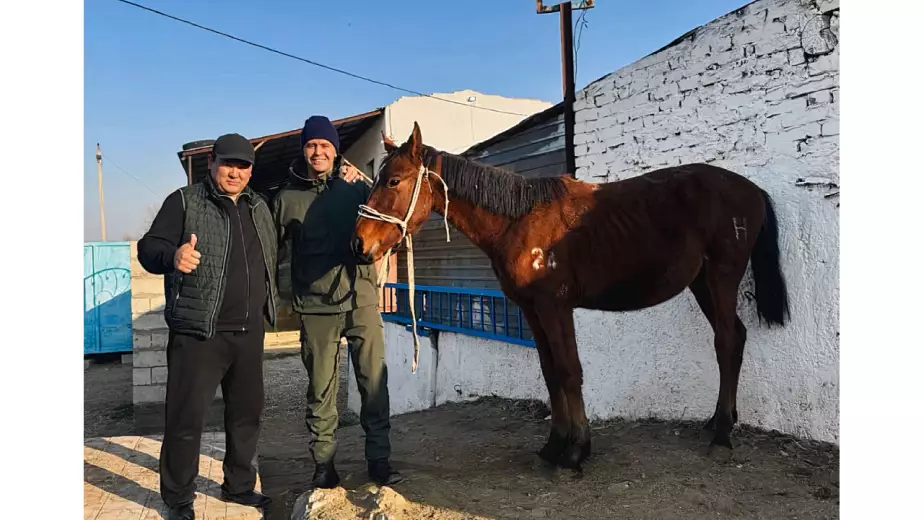 Голкиперу "Астаны" подарили коня