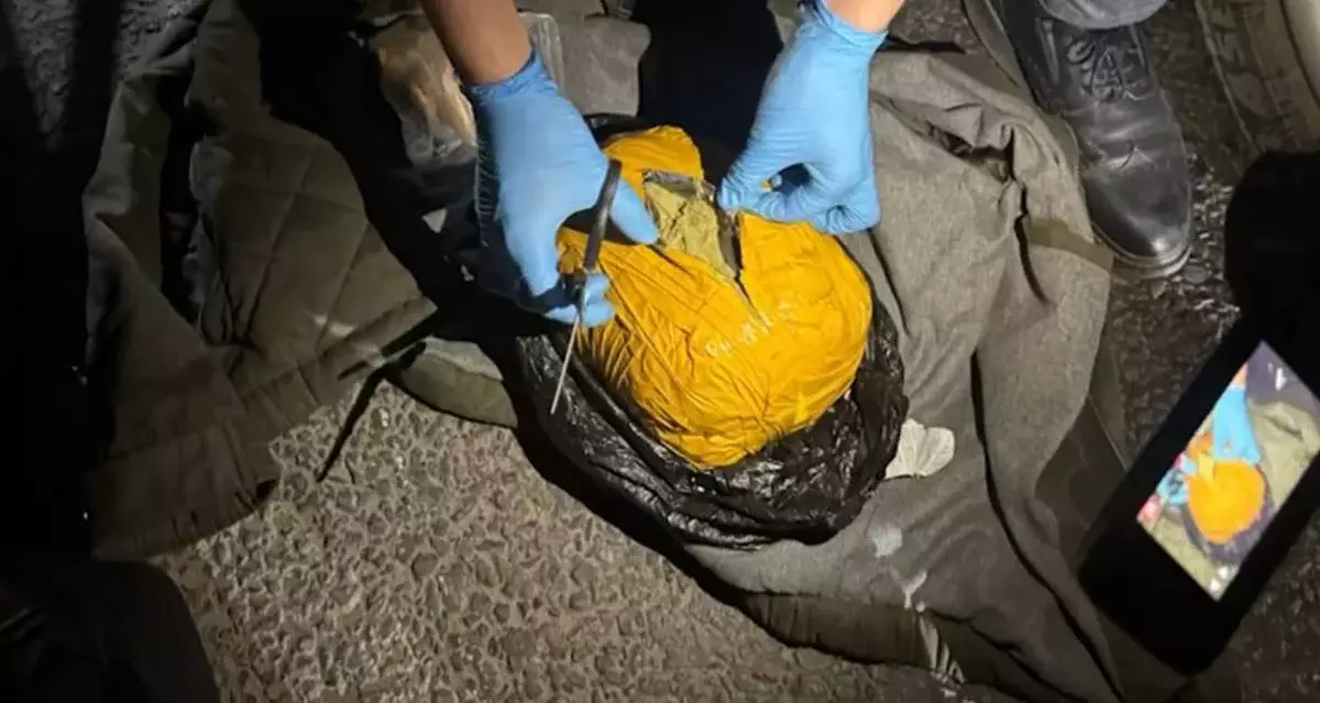 Алматыда полицейлер 9 келі гашиш тәркіледі: екі күдікті ұсталды