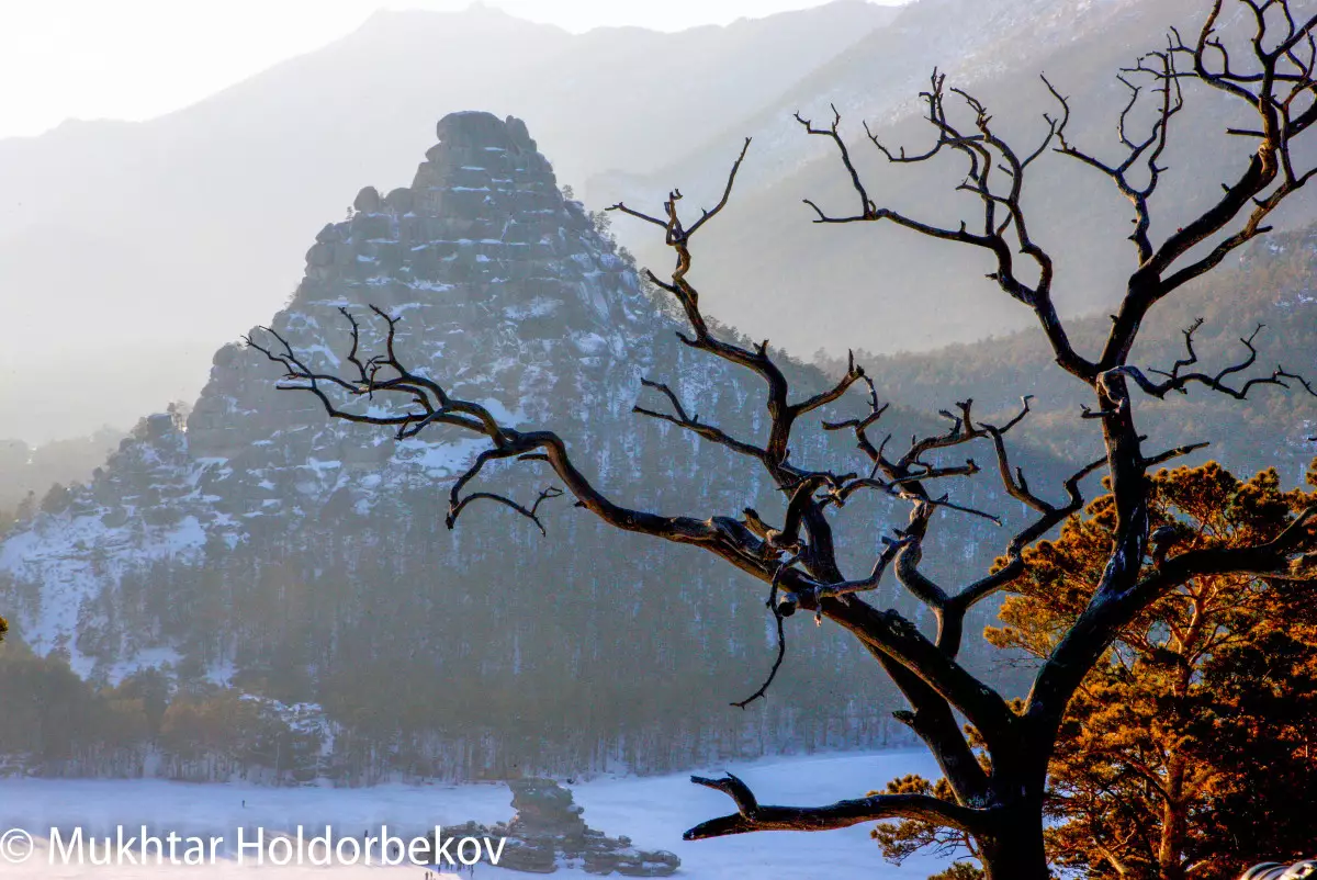 Авиарейсы между Астаной и Бурабаем: Минтранс озвучил позицию