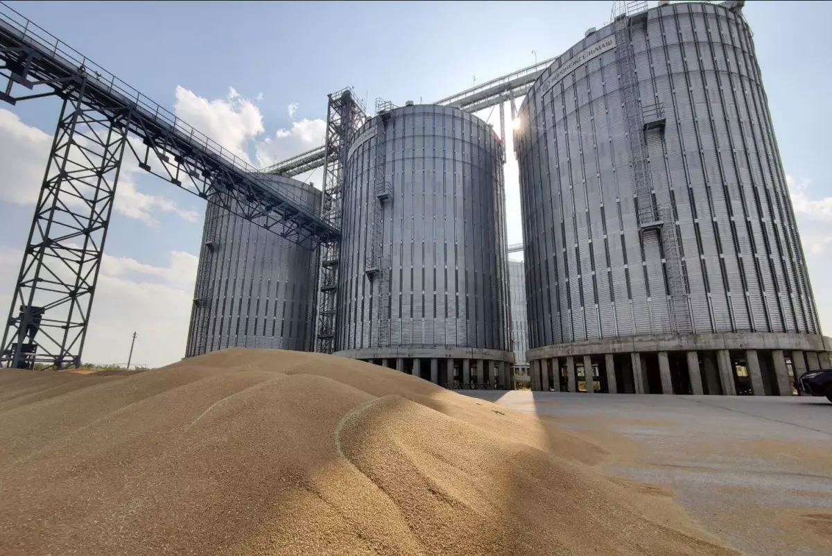 Казахстан будет наращивать поставки пшеницы в Туркменистан