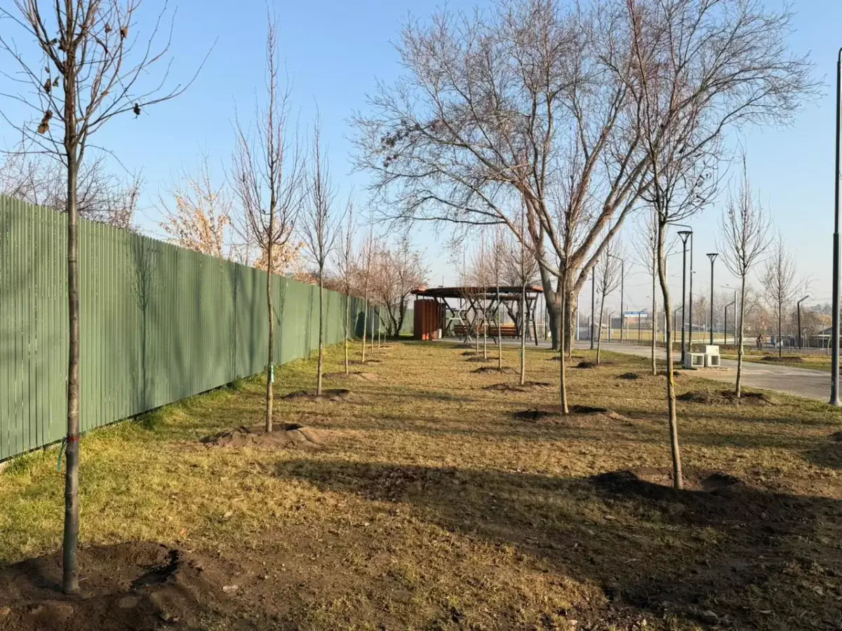 «Таза Қазақстан»: Алматыда Сейфуллин–Жансүгіров жолайырығын көгалдандыру жалғасып жатыр