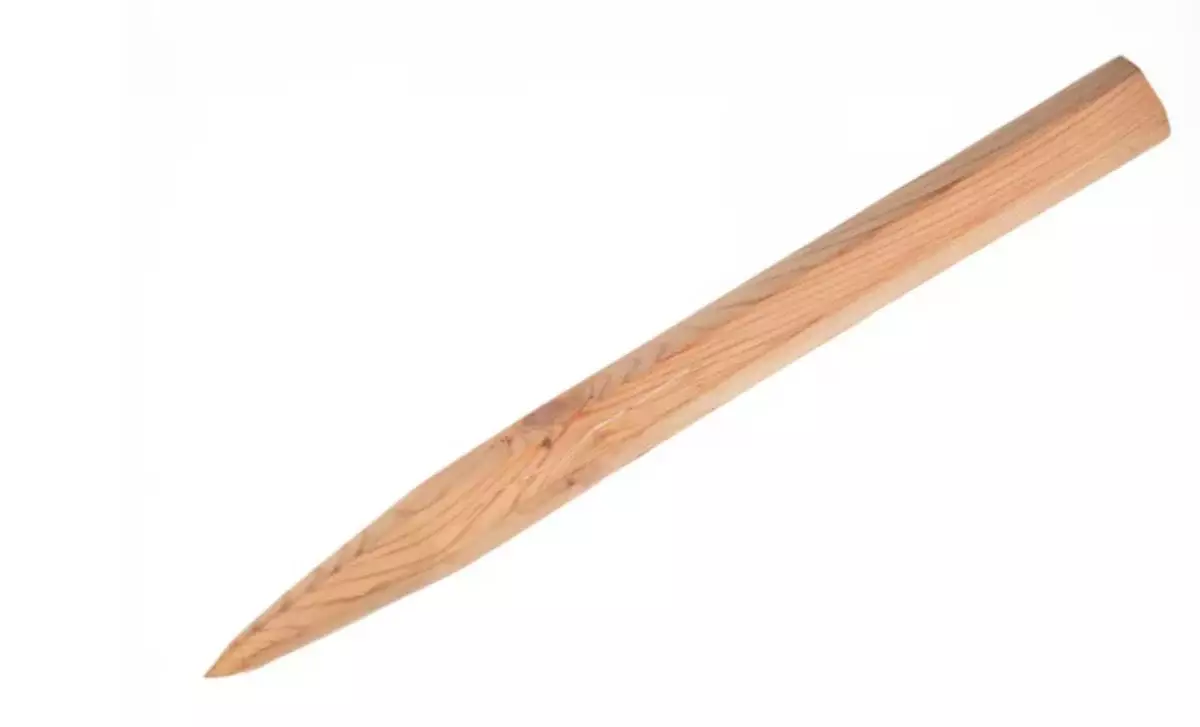 Для защиты от вампиров: женщина пыталась пронести в суд осиновый кол