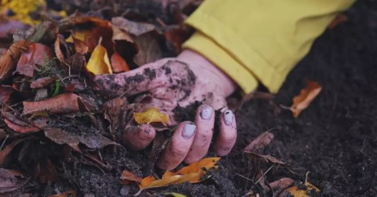   «48 рет пышақ салған»: Серуенге шыққан жасөспірімнің мәйіті әжетханадан табылды   