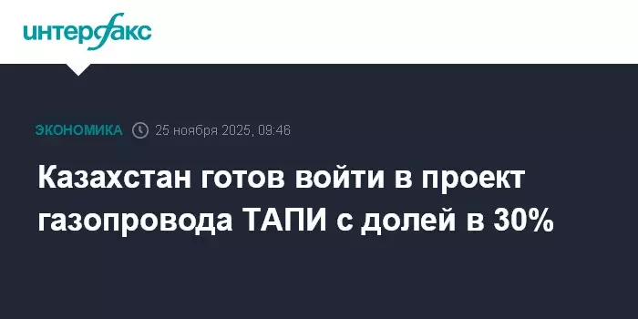 Казахстан готов войти в проект газопровода ТАПИ с долей в 30 процентов.