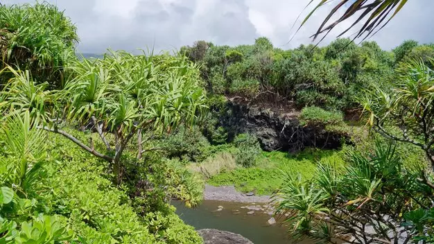 Әлемдегі ең тыныш жер анықталды