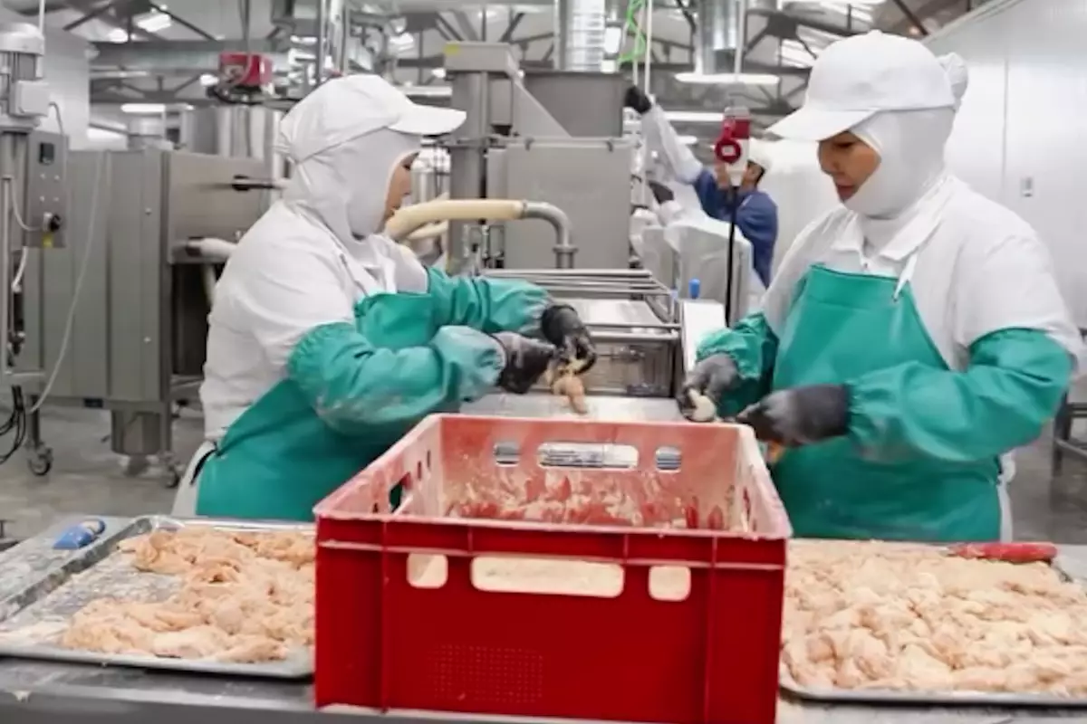 «Made in Atyrau»: в Атырау запустили цех по производству куриных полуфабрикатов
