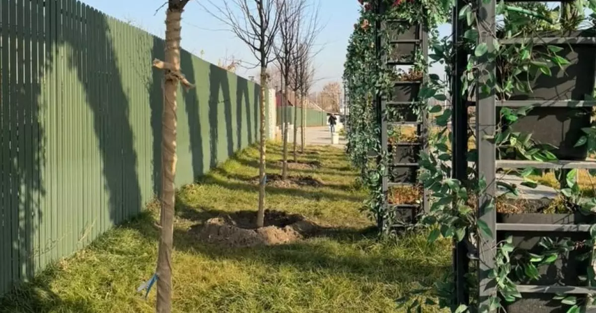  «Таза Қазақстан»: Алматының Жетісу ауданында көгалдандыру жалғасып жатыр 