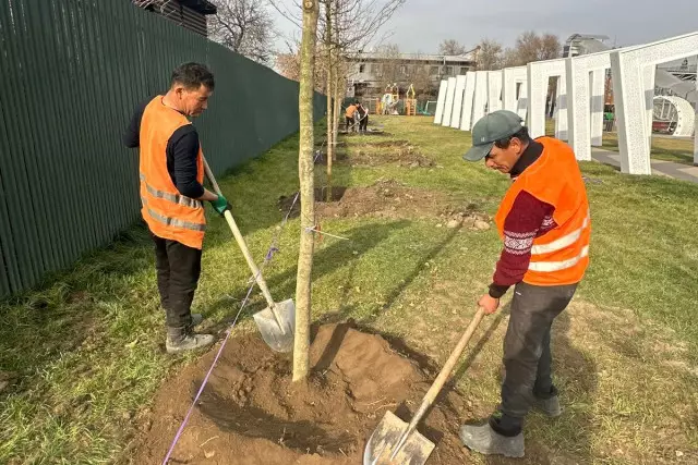 Алматының Жетісу ауданында «Таза Қазақстан» аясындағы көгалдандыру жұмыстары жалғасуда
