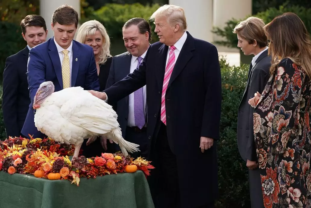 Дональд Трамп и первая леди США проведут церемонию помилования индеек