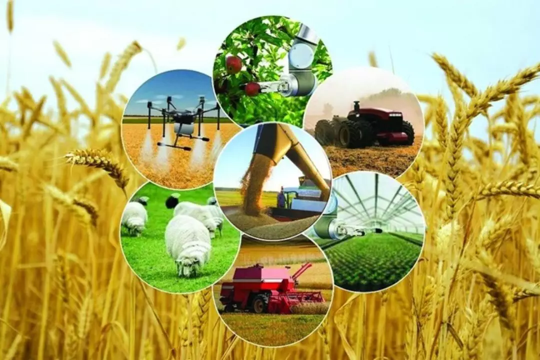 Ауыл шаруашылығы кәсіпорындары үшін онлайн-санақ кезеңі 20 қыркүйекке дейін ұзартылды