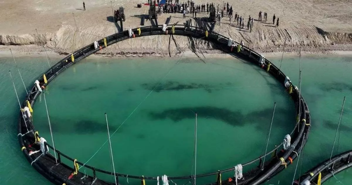  Каспийде торлы балық өсіру басталды: Маңғыстауда Орталық Азиядағы алғашқы теңіз ферма іске қосылды 