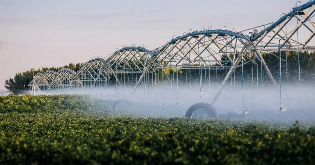  Оңтүстікте егісті суару жоспарының 98%-ы орындалды: қалған көлем қашан беріледі? 