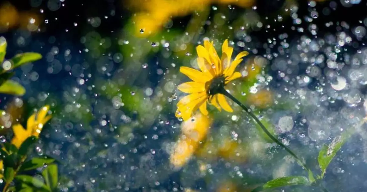  Бүгін қай өңірлерде нөсер, қай жерлерде аптап ыстық болады? 