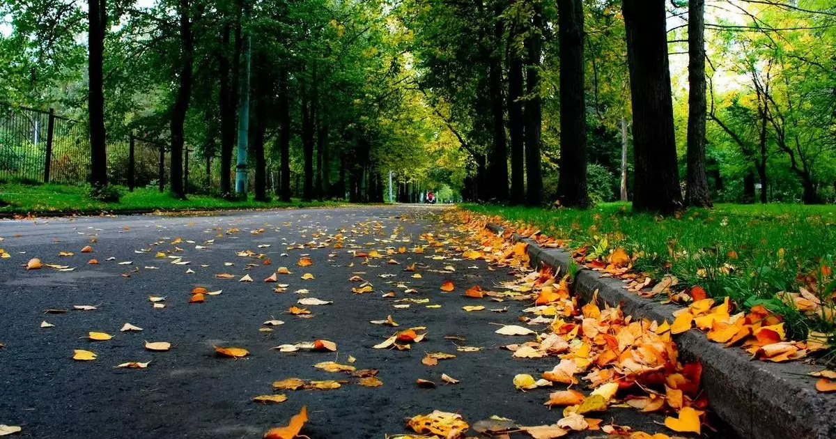  Ауа райы болжамы: Астана мен Алматыда күз ерте сезіледі 