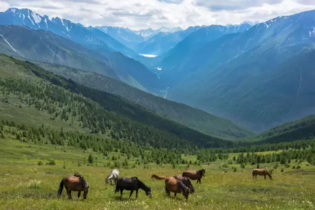 Красивейшие локации Казахстана для посещения в 2025 году