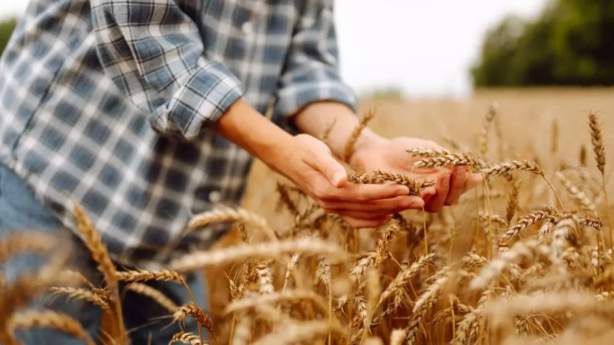 Қазақстанда шаруалардың қарыздары мен өсімпұлдары жойылатын болды