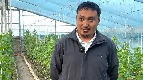 Жылыжай жаңа мүмкіндік берді