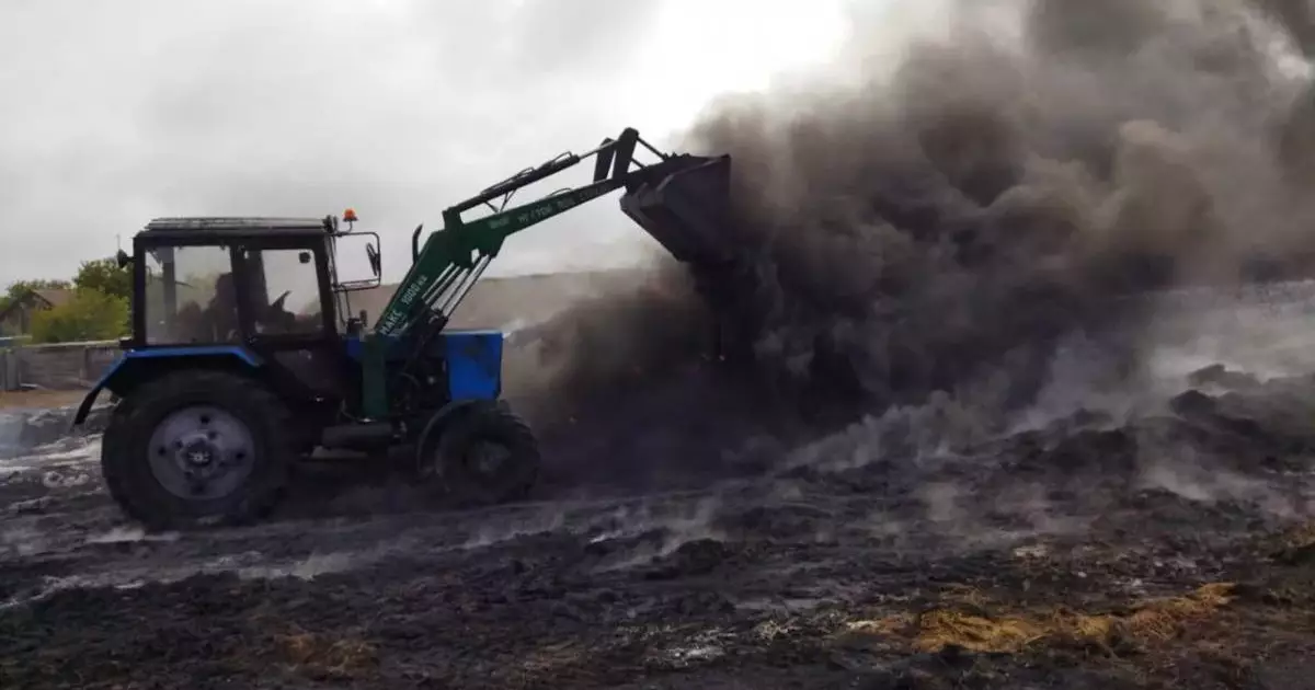  Қостанай облысында ер адам жұмысқа қабылдамай қойған фермердің шөбін өртеп жіберді 