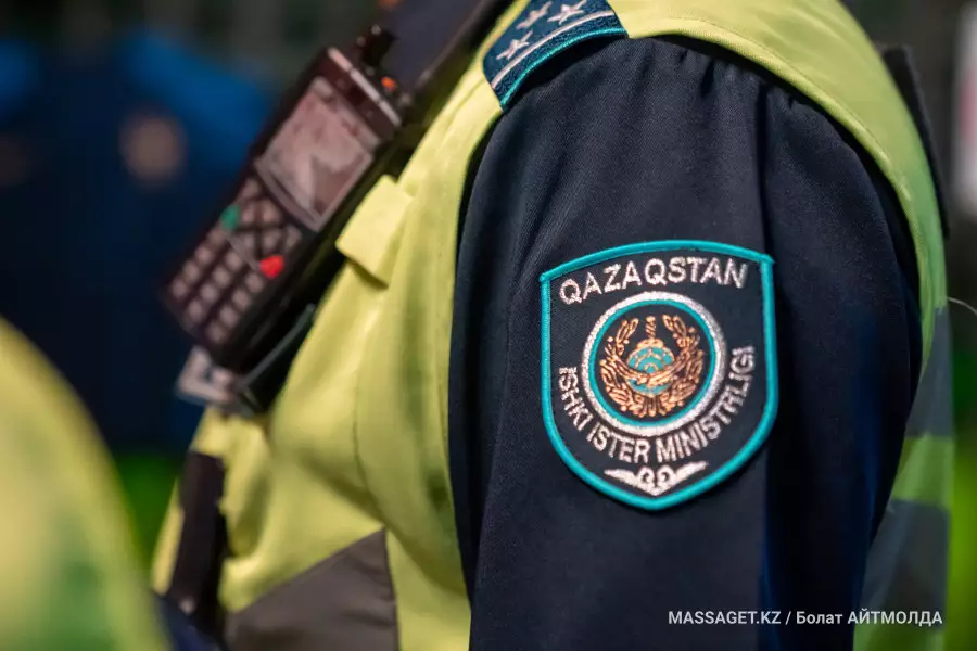 Абай облысында шетелдіктерге тиіскен екі адам ұсталды (видео)