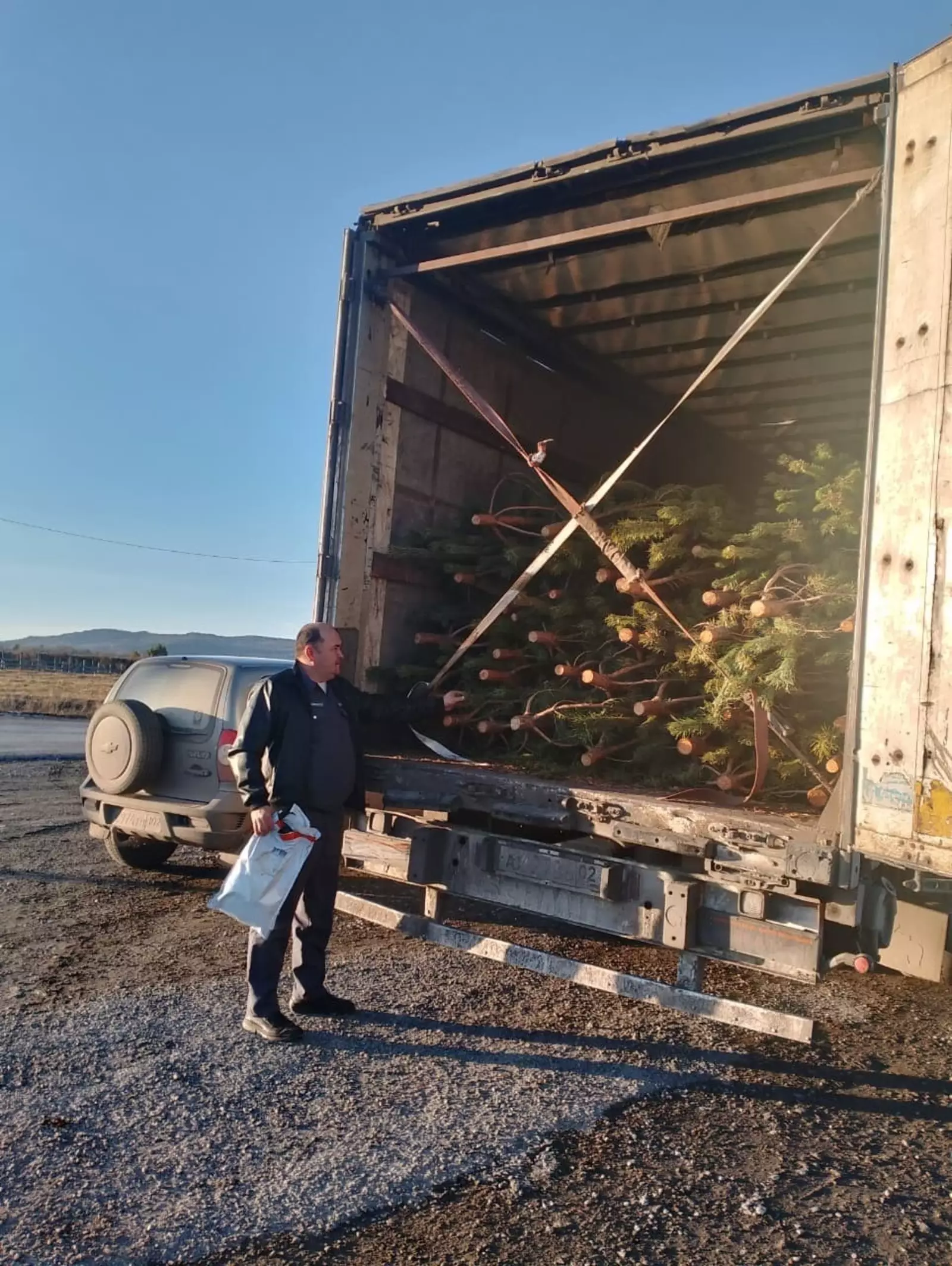 Башкирия поставит новогодние елки в Казахстан.