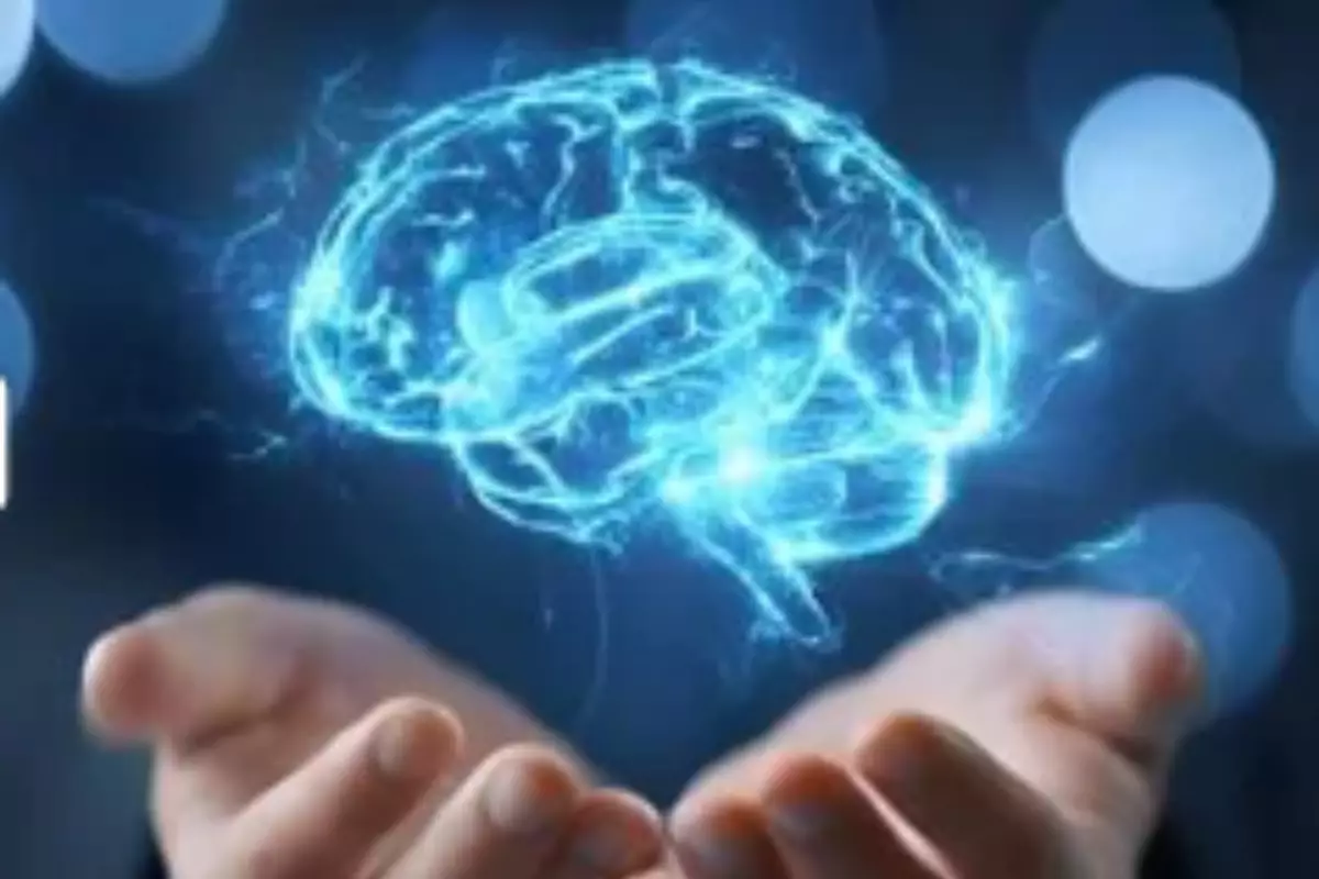 Учёные выяснили: полная зрелость мозга наступает лишь после 30 лет