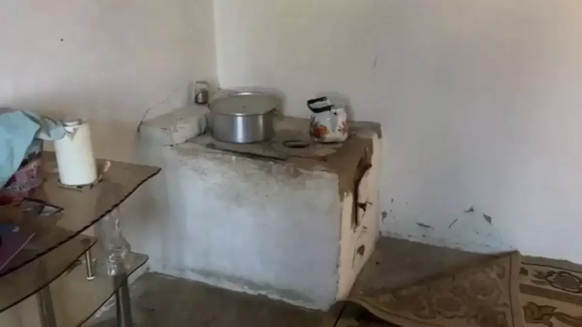 Түркістан облысында бір отбасынан 7 адамға иіс тиіп уланды