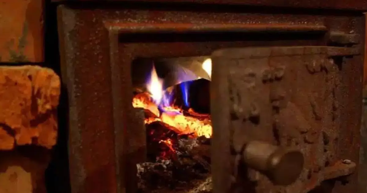  Cарыағашта бір отбасының 7 адамы уланып  қалды 