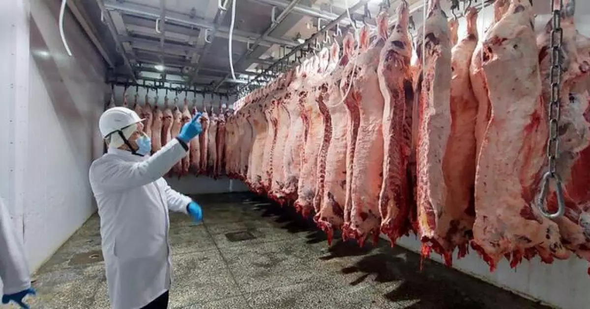   Қазақстандық кәсіпорындар Біріккен Араб Әмірліктерінің импорттаушылары тізіміне енді   