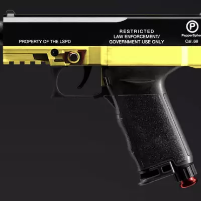 В Российском Владивостоке восьмиклассник открыл стрельбу из газового пистолета