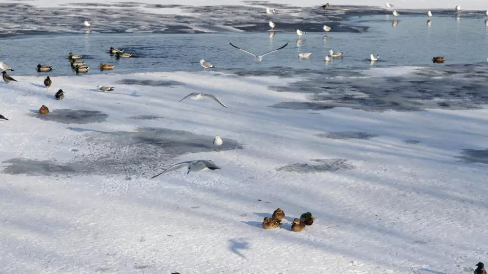 Қазақстанда алдағы күндері ауа райы қандай болады?