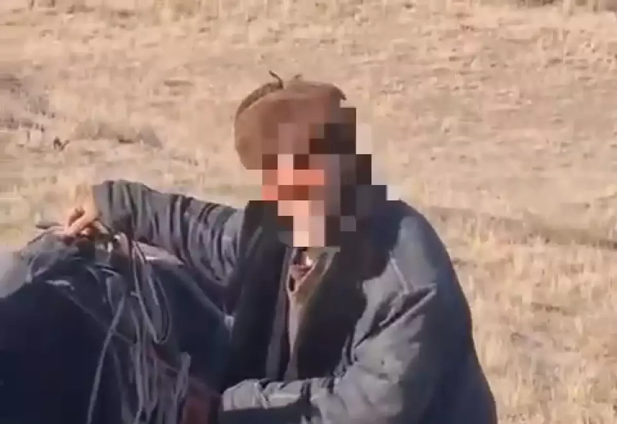 Потерянный в тумане: пастух со стадом овец голодал в степи три дня