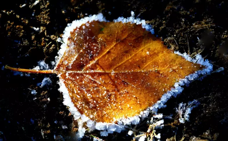 Понижение температуры ожидается в ближайшие три дня в Казахстане