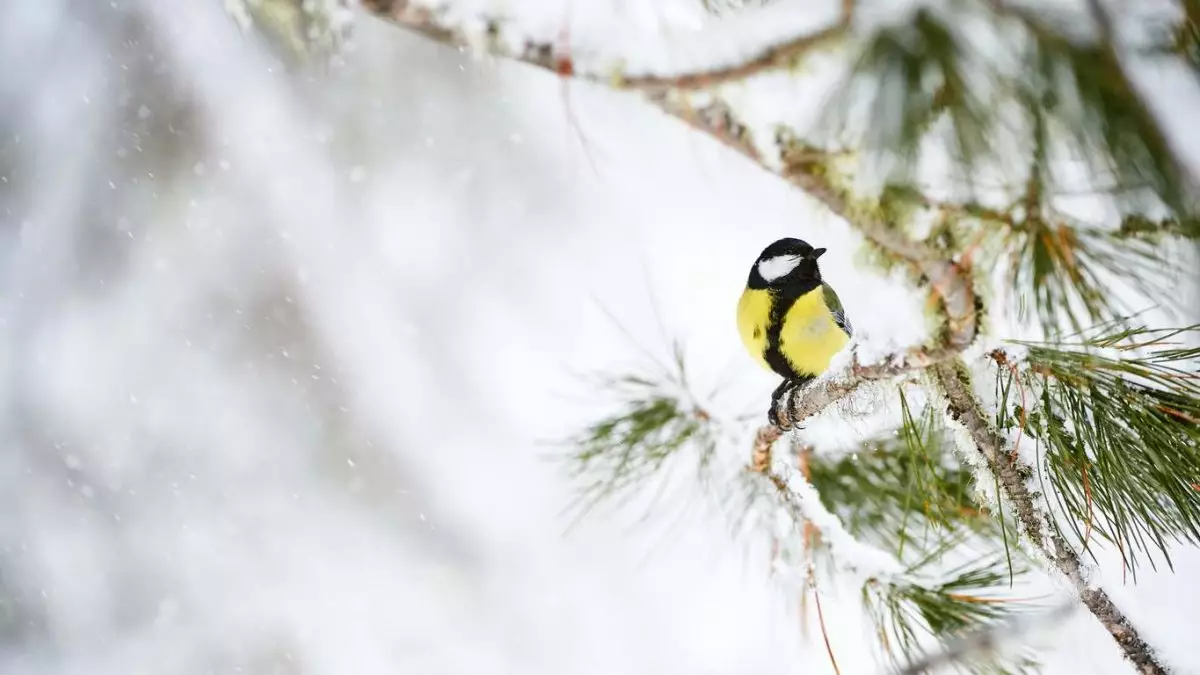 Холодный фронт принесет осадки и понижение температуры в Казахстан